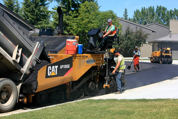 Best Driveway Paving Near Me  in Bladenboro, NC